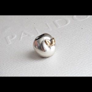Pandora two toned Apple charm
